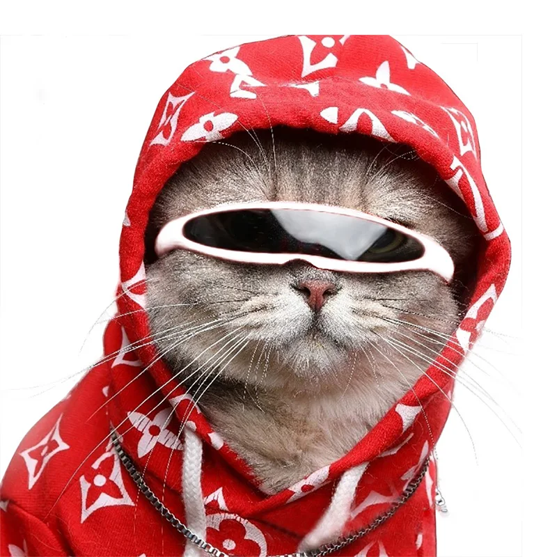 Gafas Multicolor de Gato para cachorros, productos para mascotas, lentes de sol con reflejo, accesorios decorativos para fotos