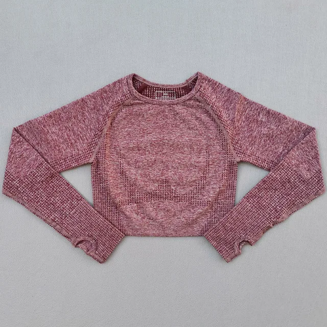 Wine red top Женский бесшовный комплект для йоги, тренировочная одежда для спортзала, укороченный Топ с длинным рукавом для фитнеса, бесшовные леггинсы с высокой талией, спортивный костюм из 2 предметов - Цвет: Wine red top