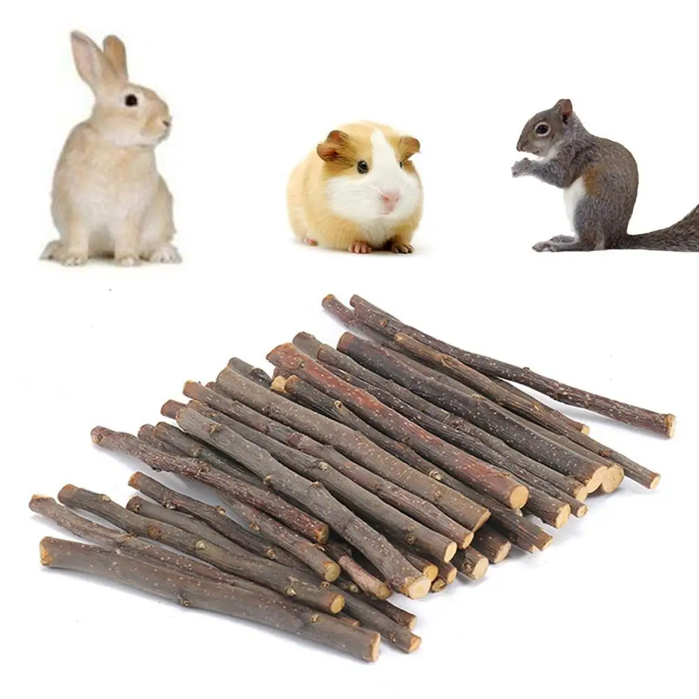 100/200g Pet Hamster Squirrel Rabbit Chew Stick Apple Tree Branch Molar Toy