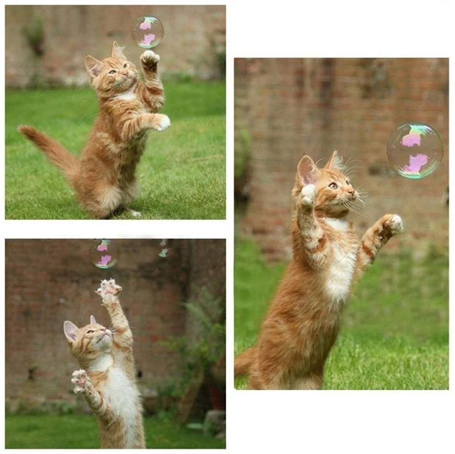 5cf8c840d6f24a3f9581bcb5-9-original