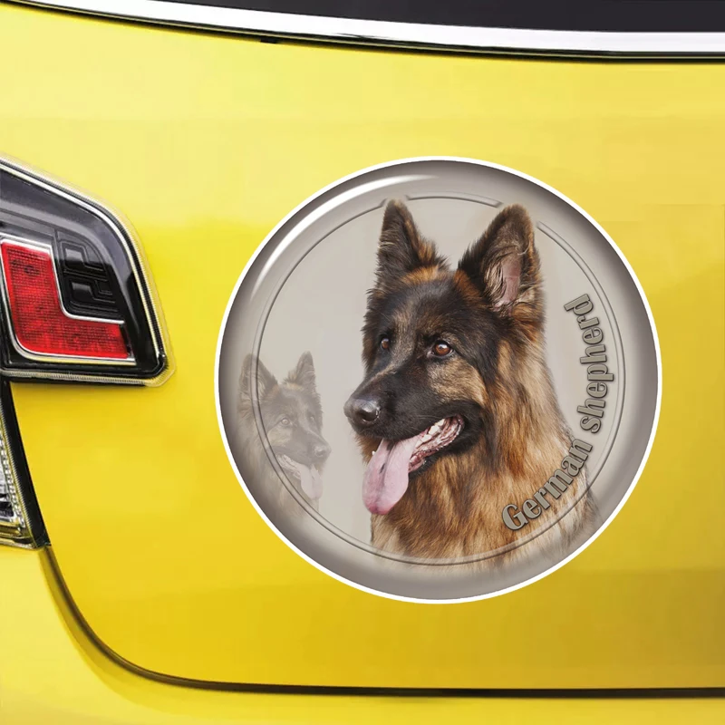 Are German Shepherds Waterproof