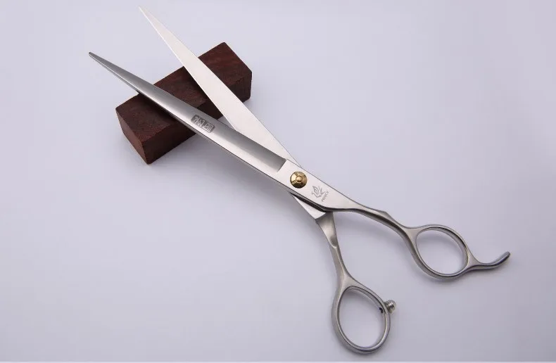 HTB1jqlONVXXXXcxXXXXq6xXFXXXL