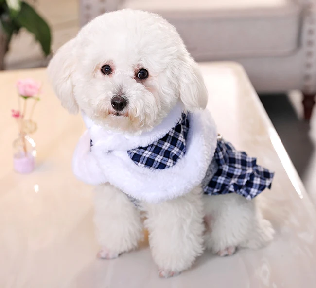 ZLOVEPET осенне-зимняя одежда для собак благородное вязаное тонкое шерстяное британское клетчатое платье для собак накидка для щенков