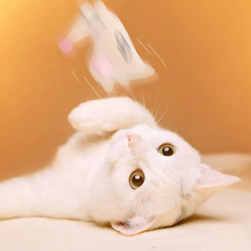 Chat Cataire Jouets Drole Interactif En Peluche Jouet Pour Animaux De Compagnie Chaton A Macher Griffes Pouce Morsure Interactif Drole Chat Chat Meulage Jouets Aliexpress