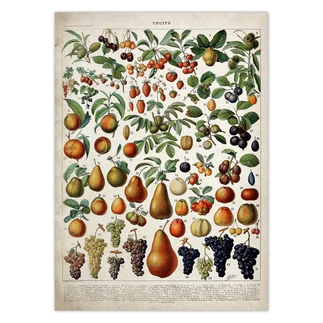 Vintage-Vegetable-Fruit-Mushroom-Poster-Print-Antique-Wall-Art-Print-Botanical-Picture-Science-Poster-Kraft-paper.jpg_.webp_640x640 (1)