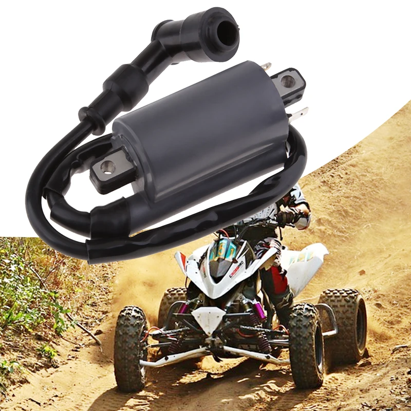 1 шт. катушка зажигания мотоцикла для Buyang Feishen Linhai 260 260cc 300cc D300 G300 ATV Quad и т. д. ATV аксессуары
