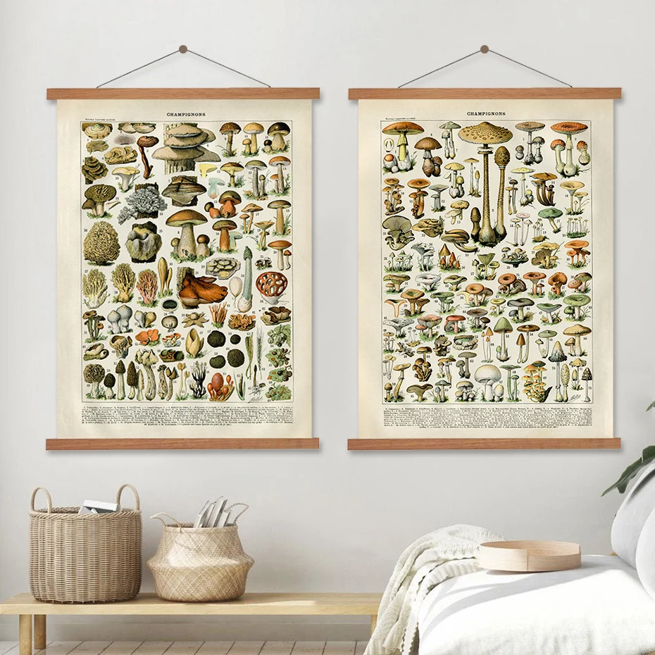 Poster Natura Funghi Poster Funghi Vintage Francese 50x70cm - Decorazione  Pareti Colorata Patruschka Poster Patruschka 50x70, image size:930x930