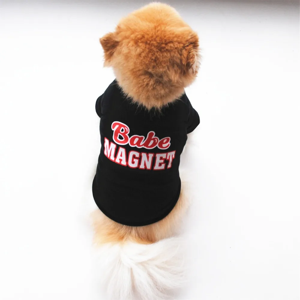 9116123980_361259826