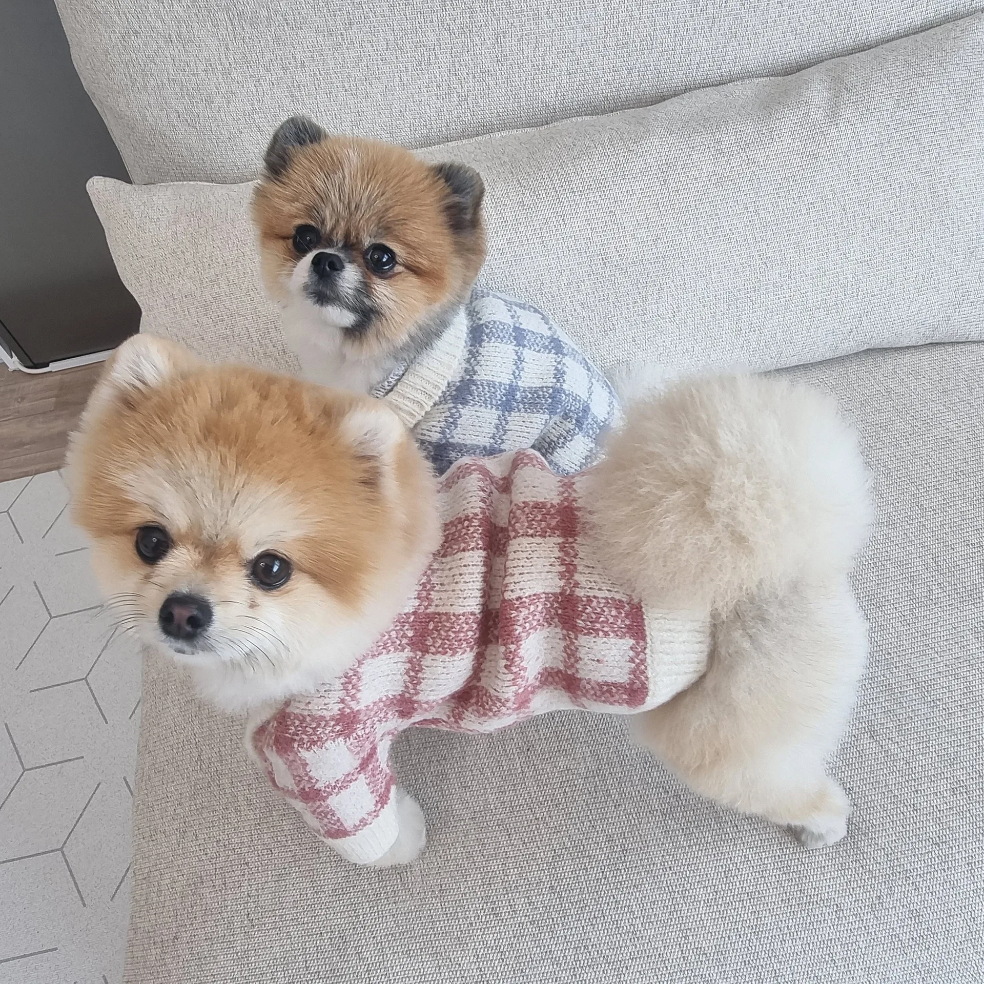 Luxury Cardigan Dog Sweaters, Winter Warm Dog Clothes, Small Dogs Clothing, Pet  Coat Jacket, Pet Items Knitted Sweater - Temu South Korea