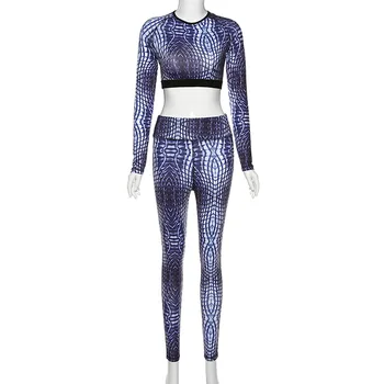 

2020 Spring Snake Print Cropped Top with pants sportwear 2019 autumn winter women tops and trousers round neck long sleeve