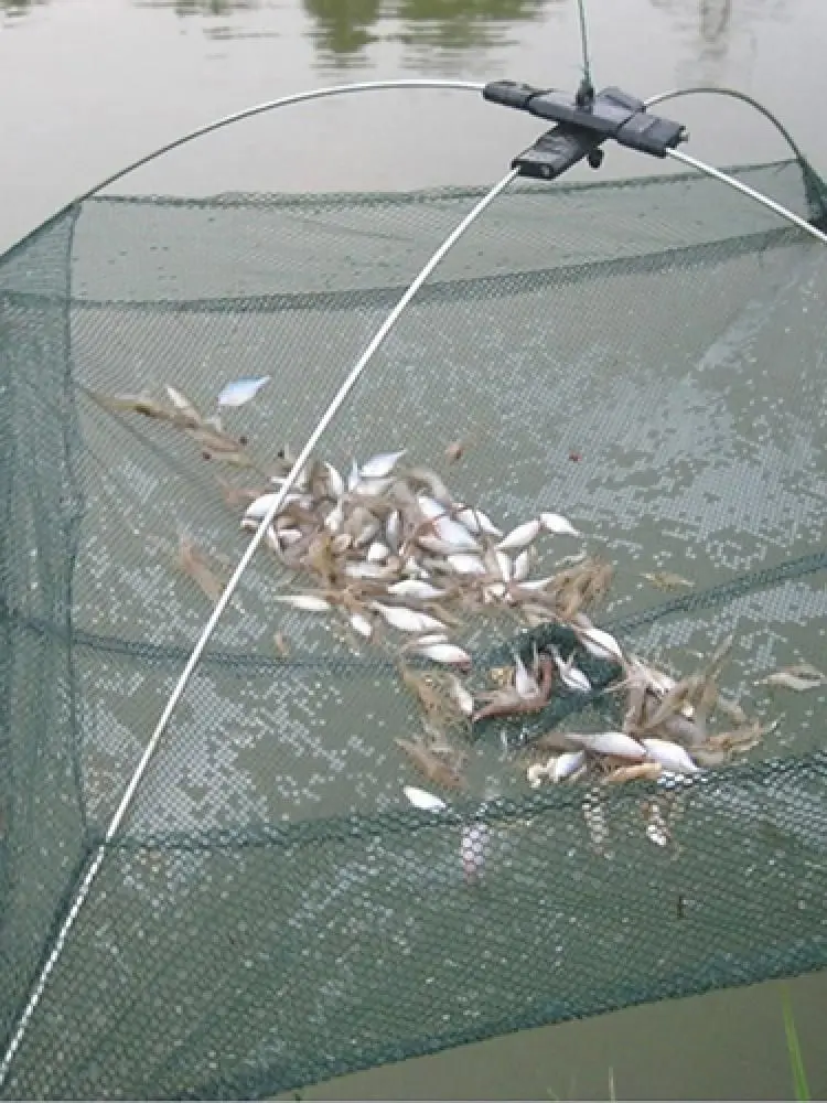 Рыболовный садок для рыбы. Сеть для рыбалки. Сеть для ловли рыбок. Улов речной рыбы. Ловля сетями мелкую рыбу.