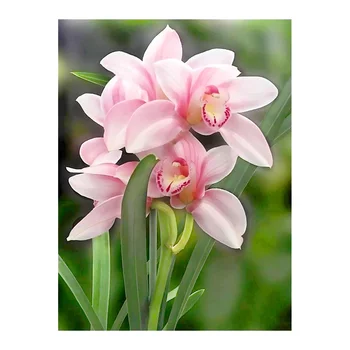 

Orchid Flowers Diamond Painting Round Full Drill Floral Nouveaute DIY Mosaic Embroidery 5D Cross Stitch Home Fecor Gifts