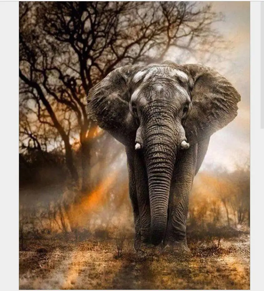 Алмазная живопись слон 5d алмазная своими руками вышивка крестиком мозаика