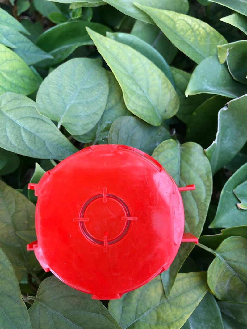 HTB1a5kVnznD8KJjSspbq6zbEXXaK