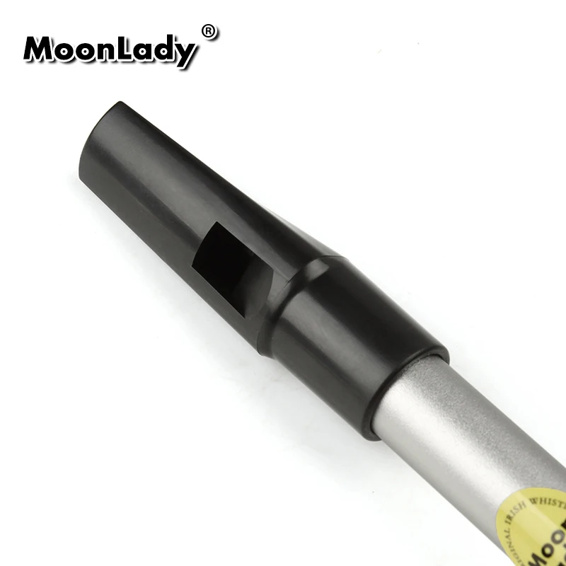 Metal Flute 6 Holes D Key Flute Irish Whistle Musical Instrument Penny Whistle Aluminum Alloy with all Accessories