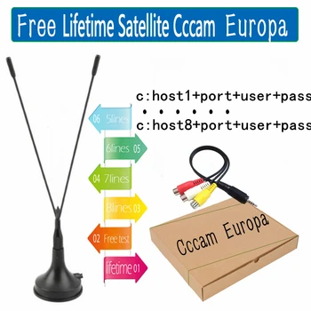

Cccam europa most stable cccams for Europe spain portugal Satellite tv Receiver 8/4lines WIFI FULL HD DVB-S2 Support