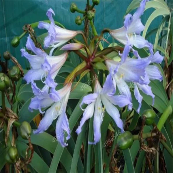 u=758939235,3668802886&fm=26&gp=0