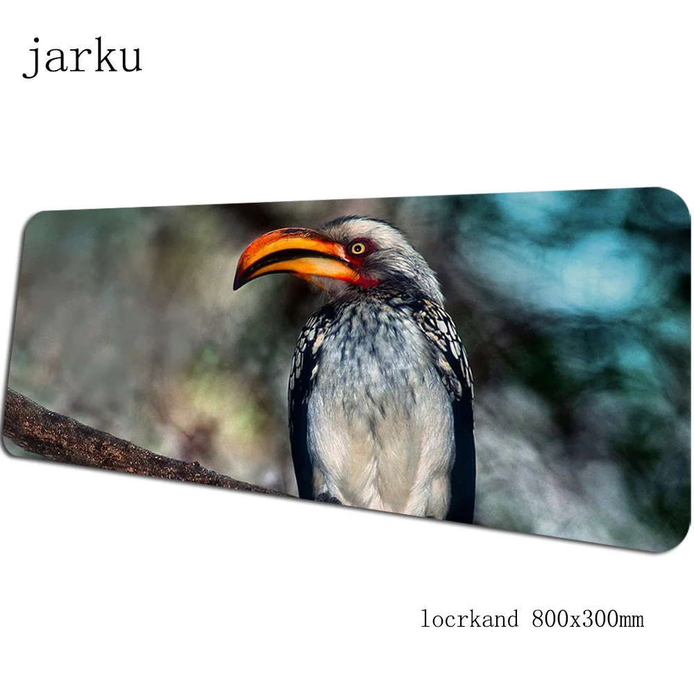 Size 800x300X3MM Птицы геймерский коврик для мыши 800x300X3 мм игровой коврик для мыши большой аниме ноутбук аксессуары для ПК Новое поступление ноутбук padmouse эргономичный коврик - Цвет: Size 800x300X3MM