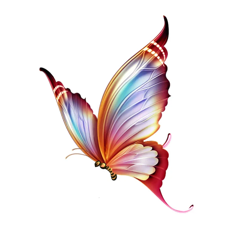 Картинки бабочки красивые рисунки