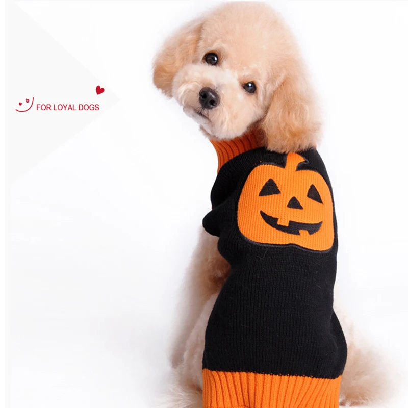 18043677642_1589037260