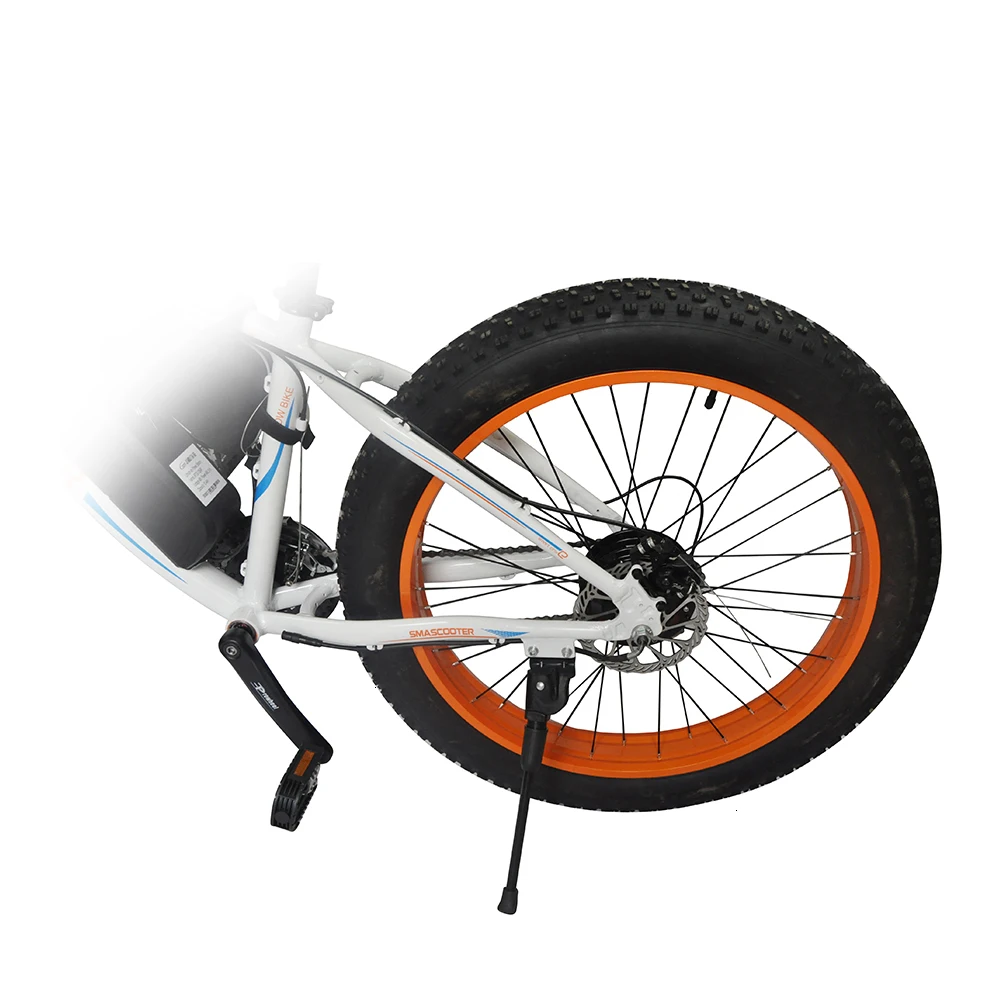Inch Popular E6-5 E6-5 26 EcoRider Electric Bike 350w Electric Bicycle Electric Cycle School Appliances Free Postage