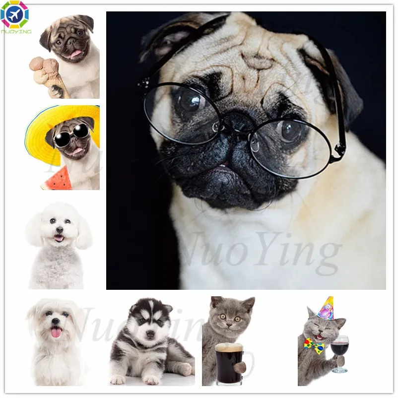 Diy 5d Diamond Painting Pug Mosaic Picture Cross Stitch Kit Animal 3d Embroidery Needlework Home Decoration | Дом и сад