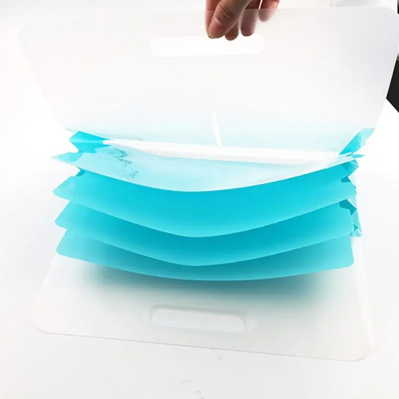 

1Pc 5 Grid Horizontal Organ Bag Document File Folder Portable A4 Organizer Holder New