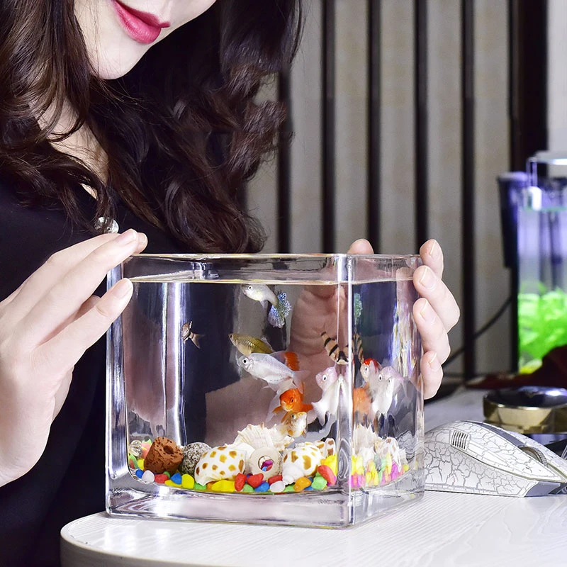 

Square Fish Tank Glass Aquarium Desktop Creative Ecological Mini Goldfish Tank Aquarium Accessories
