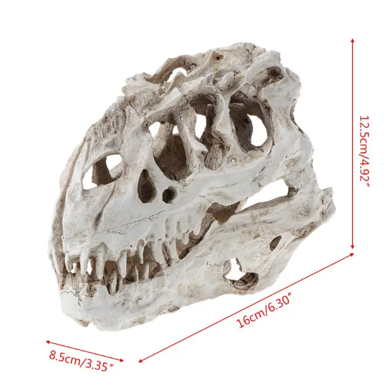 Tyrannosaurus череп динозавра смолы ремесла Fossil обучение скелету модель Хэллоуин украшения дома офиса