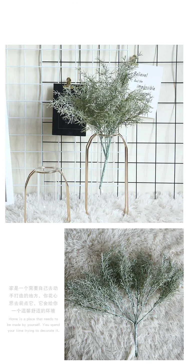 11154298735_1245478559