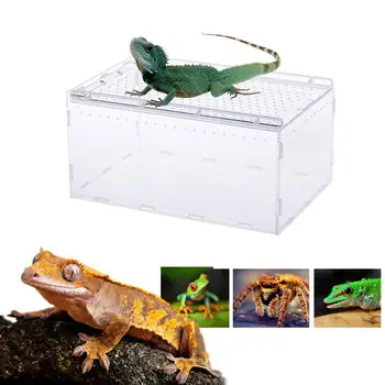 

New Transparent Acrylic Reptile Breeding Box Transparent Panoramic Insect Feeding Box For Snake Spider Lizard Scorpion Centipede