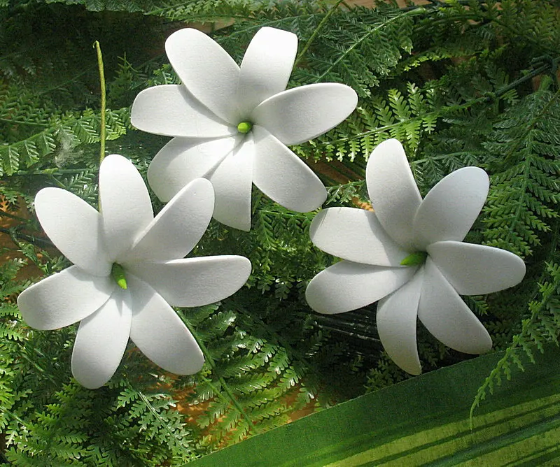 Рисунок 2 - Бесплатная доставка 8F219-1 100 шт