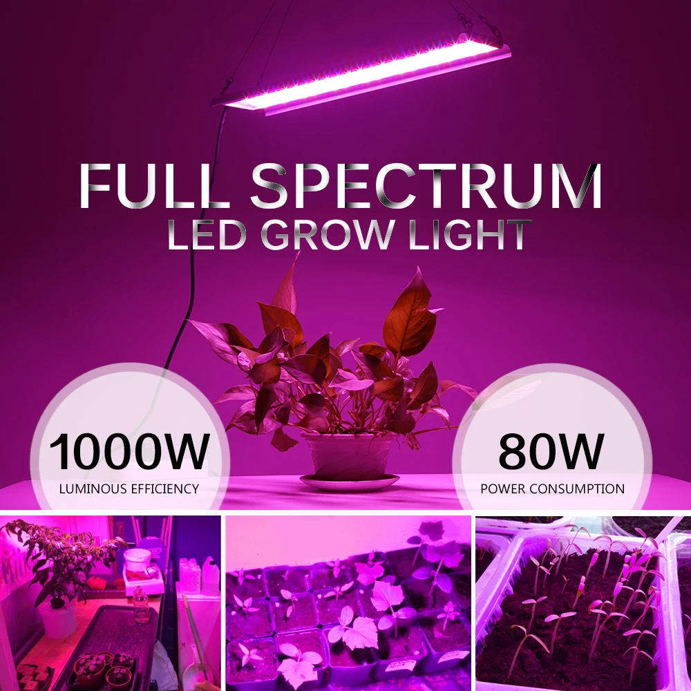 80 Вт фитолампа для растений, полный спектр, светодиодный светильник для выращивания растений, AC85-265V, высокая световая эффективность, лампы для выращивания саженцев, тент для выращивания