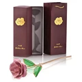 Light Pink Gold Rose