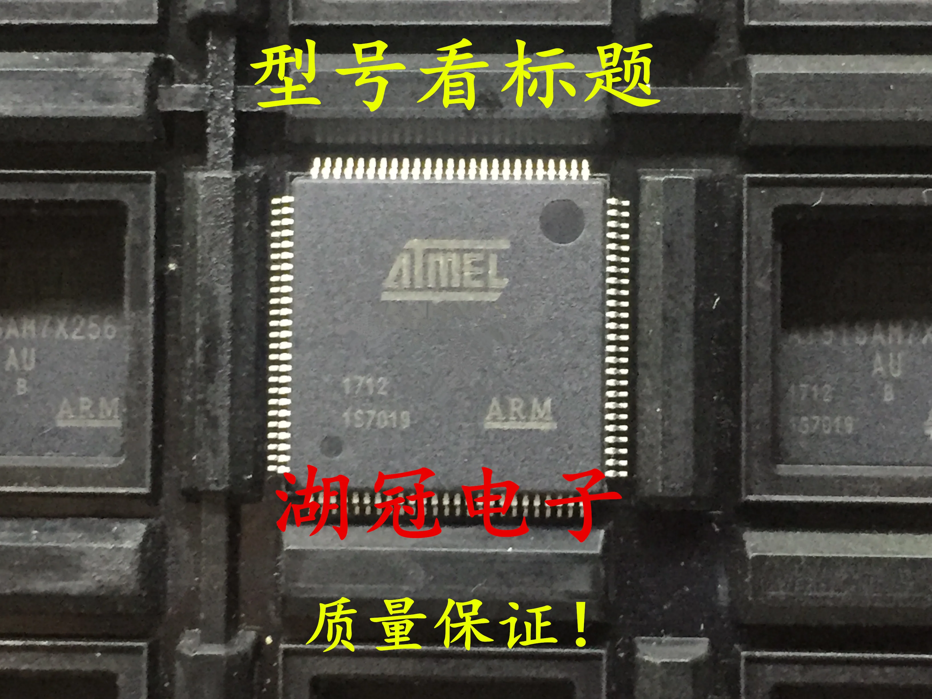 

5pcs/lot AT91SAM7S512-AU QFP