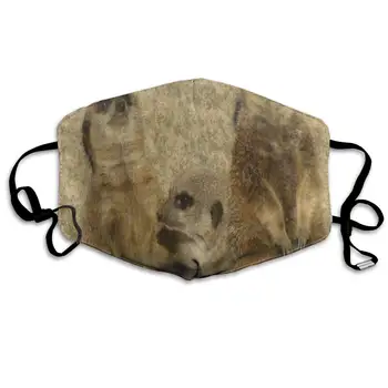 

Face Mask Vintage Animal Meerkat Customized Cycling Half Face Earloop Dust Mask For Woman