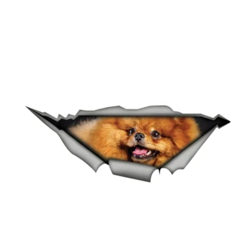 

Dawasaru Pomeranian Lovely Car Sticker Personality Sunscreen Decal Laptop Motorcycle Auto Accessories Decoration PVC,13cm*4cm