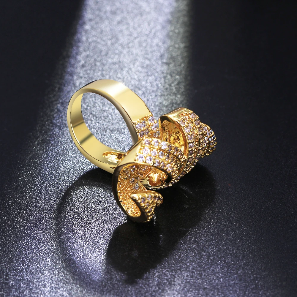 big ring (8)