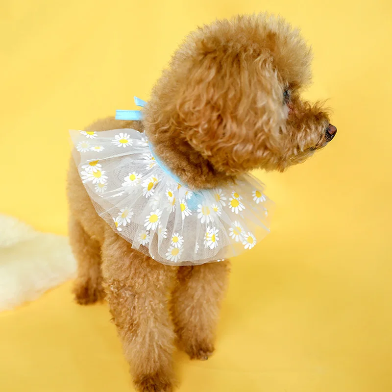 雏菊纱围嘴_0231