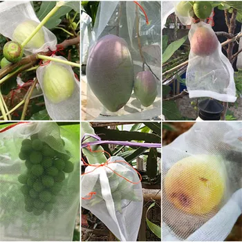 

1pc Protect Plants From Insect Mosquito Bites Net Bag Grape Fig Flower Seed Vegetable Garden Tool Garden Fruit Barrier Cover Bag