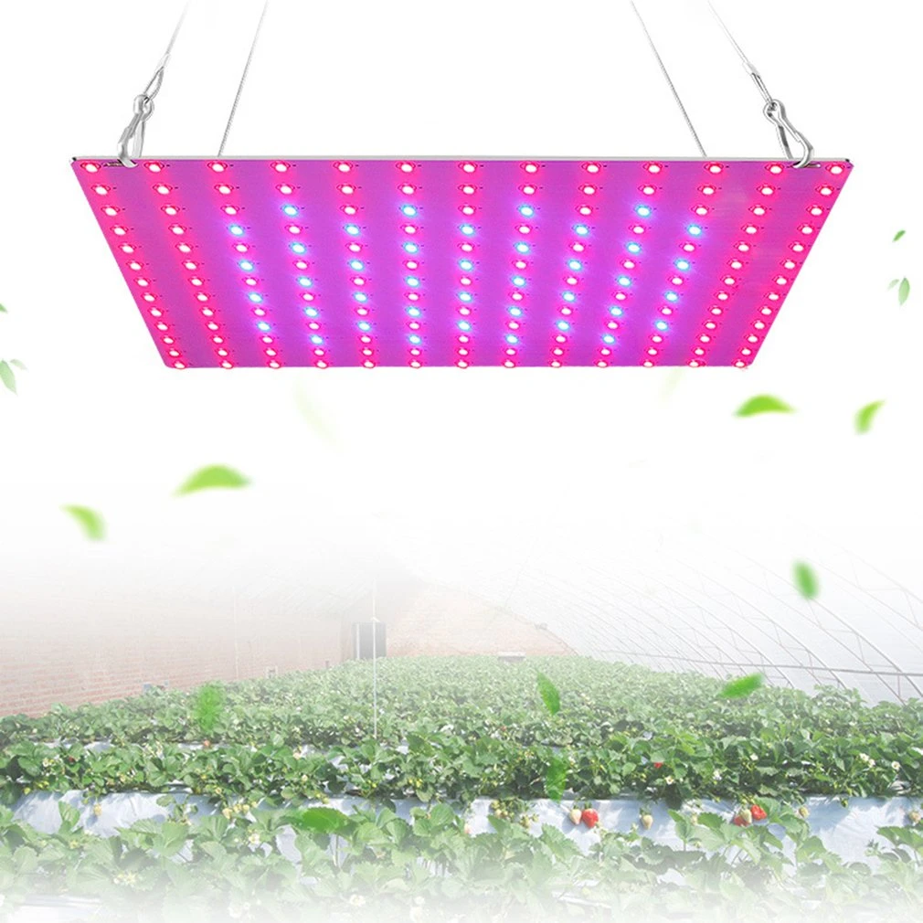 Hookable luz LED para cultivo de plantas impermeable amplificador de planta de interior crecimiento luz la fotosíntesis promoción|Lámparas de cultivo| - AliExpress