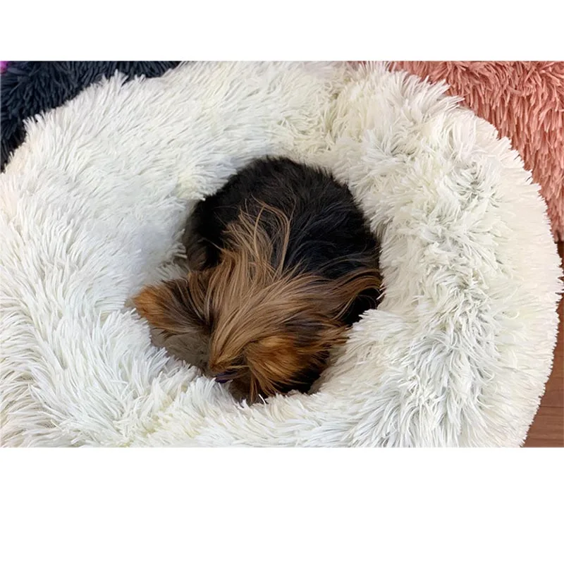 bestlittlething com calming bed