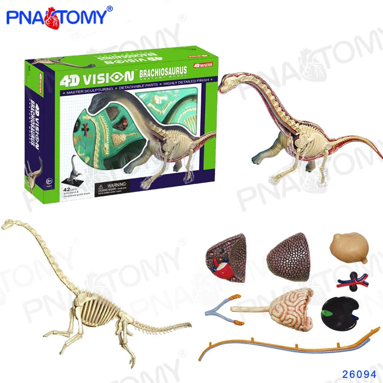 Famemaster 4D Vision Brachiosaurus  Anatomy Model 