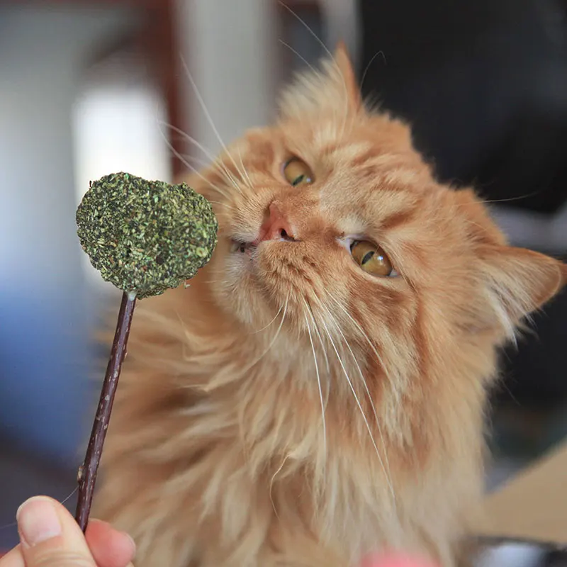 

[MPK] Heart Shape Lollipop Cat Toy, Pet Snack, Natural Cat Catnip Stick