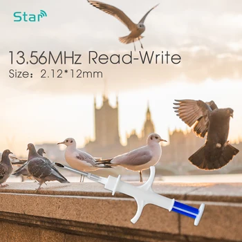 1pc 13.56MHz 동물 마이크로 칩 주사기 NFC 칩 2*12mm HF 스마트 마이크로 칩 주사기 (바늘 포함) NTAG216 rfid 인젝터 세트