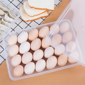 

Refrigerator Egg Box Transparent Freshness Box Sushi Box 24 Lattice Egg Tray Egg Holder Household zhuang dan Plastic Storage Rac