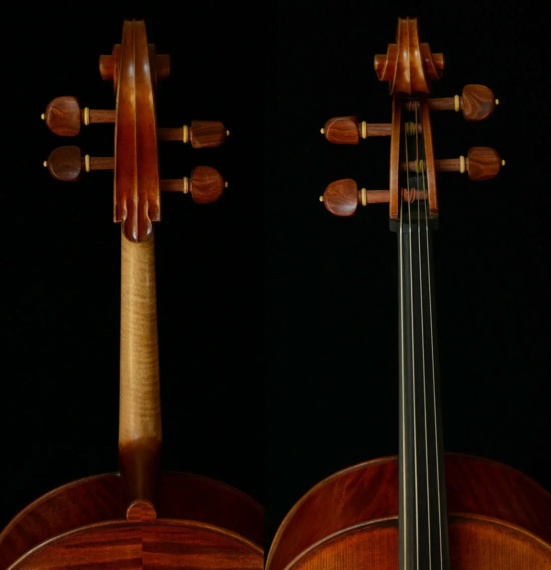 Настоящая фотография удивительно исключительная Виолончель исключительный