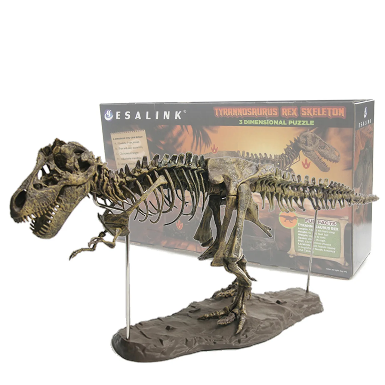 

70 Cm Dinosaur Skeleton Model T-Rex Fossil Large Size Assembled Model Craft Ornaments Office Customized Decoration
