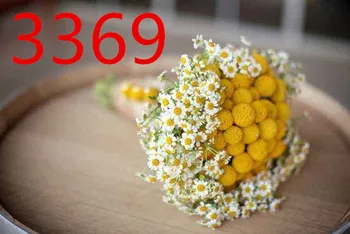 

Weddings and important occasions / Wedding accessories / Bridal bouquets KMC