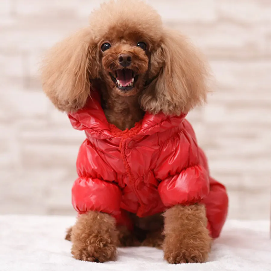 Зимнее пальто для собаки утолщенная теплая водонепроницаемая куртка для собаки чихуахуа французская собака породы бульдог одежда наряд комбинезоны для собак